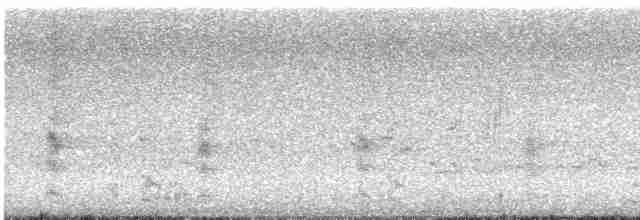 疣鼻天鵝 - ML619398689