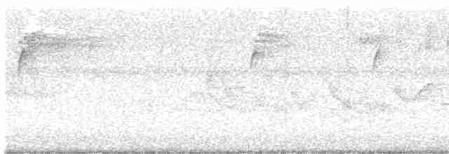 lesňáček černohlavý - ML619398981