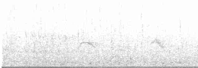 Дрізд-короткодзьоб малий - ML619399556