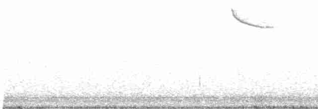 Western Meadowlark - ML619399599