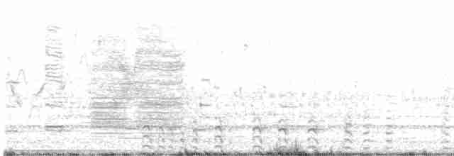 Common Gallinule - ML619399653