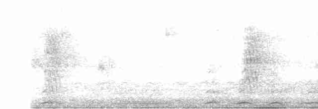 Bluish-gray Saltator - ML619400121