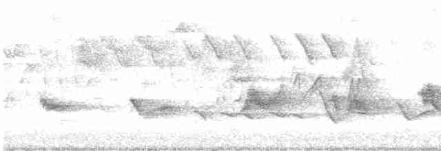 Чернокрылая пиранга - ML619401059