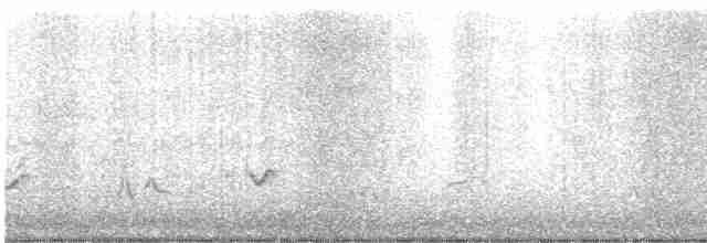 Черноголовый толстонос - ML619401524