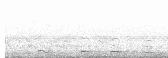 Chevêchette des saguaros - ML619401684
