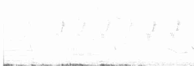 linduška luční - ML619402056