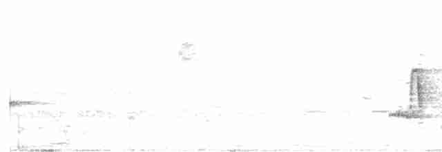 White-eyed Vireo - ML619402214