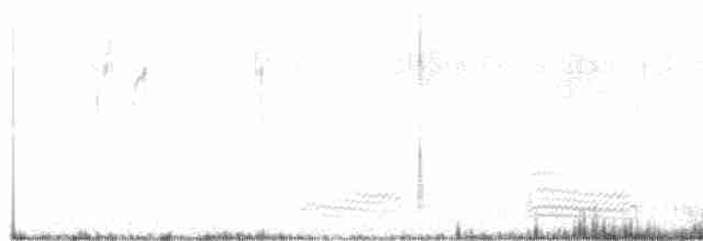 svartkråke - ML619402361