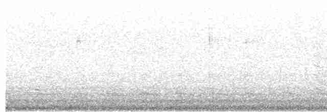 疣鼻天鵝 - ML619402405