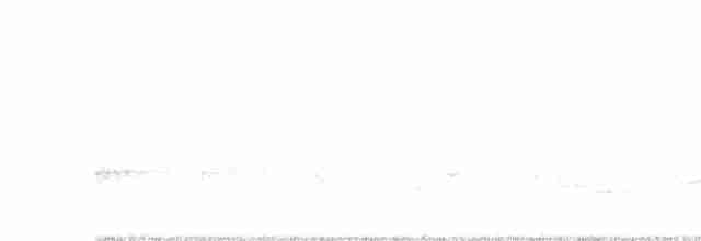 Чернокрылая пиранга - ML619402464