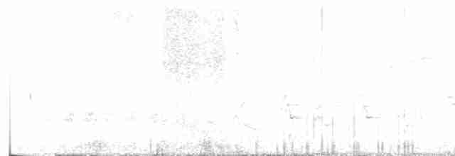 Длинноклювый пересмешник - ML619403770
