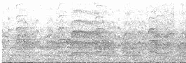 Common Tern - ML619403940