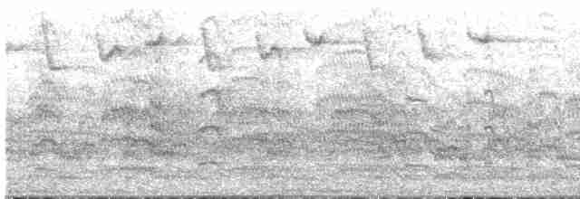 Common Tern - ML619403956