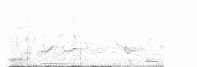 Короткоклювый бекасовидный веретенник - ML619404039