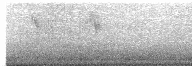 Берингийская жёлтая трясогузка - ML619404040
