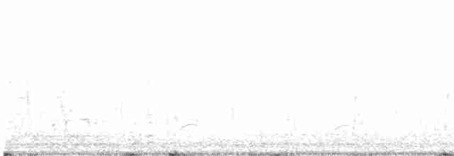 hvithalesvømmesnipe - ML619404121