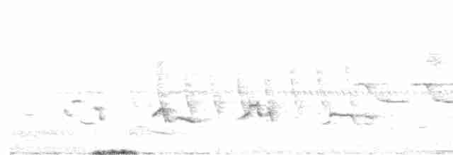 Дрізд-короткодзьоб Cвенсона - ML619404147
