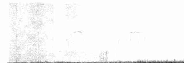lejsek bělokrký - ML619404196