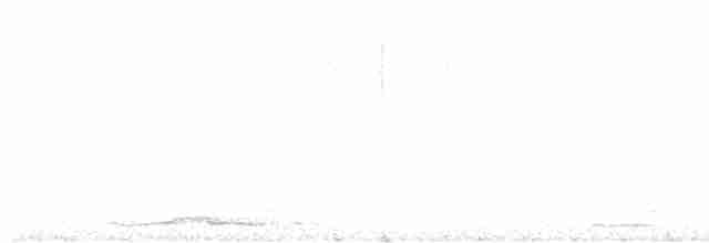 Сова сіра - ML619404402