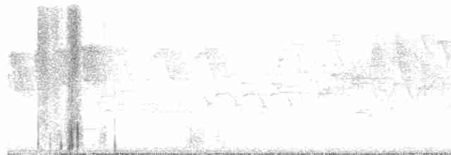Малая вильсония - ML619404615