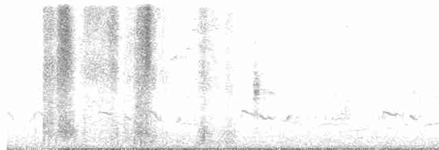 Troglodyte des marais - ML619404668