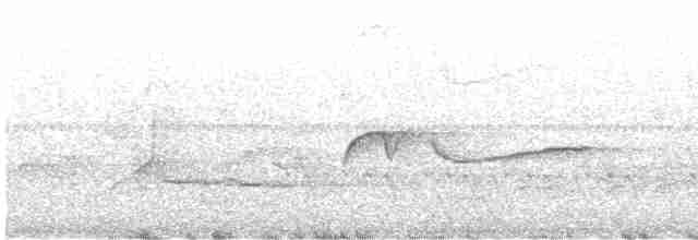 Голубокрылая червеедка - ML619404689