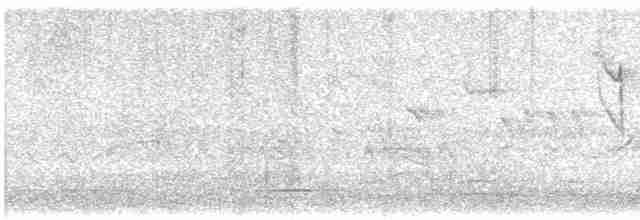 svarthvit fluesnapper - ML619404807