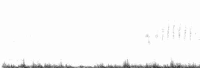 Çekirge Sesli Çayır Serçesi - ML619405029