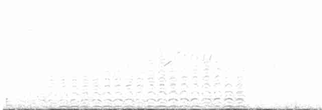 חרטומית ביצות - ML619405040