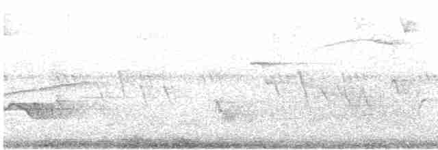 Paruline rayée - ML619405061