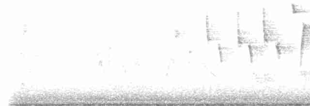Tennessee Warbler - ML619405124