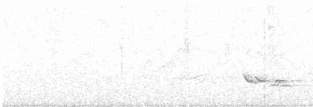 エントツアマツバメ - ML619405224