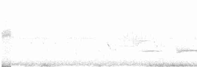 Приморская овсянка-барсучок (maritima/macgillivraii) - ML619405247