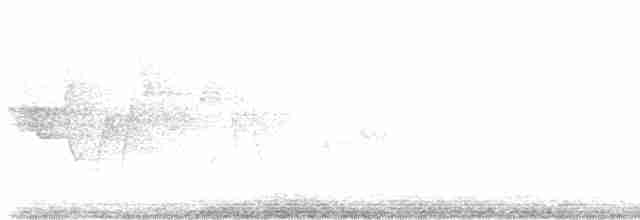 Трясогузковый певун - ML619405478