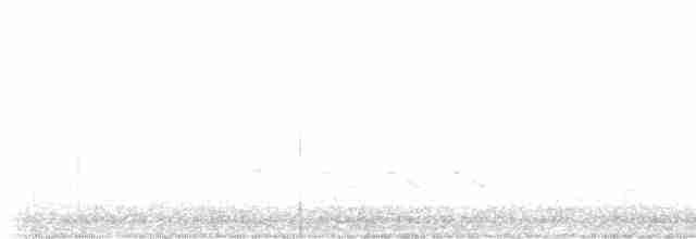 White-eyed Vireo - ML619405551