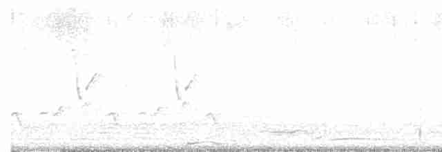 Поплітник каролінський - ML619405584