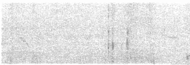 konipas luční (ssp. flava) - ML619405639