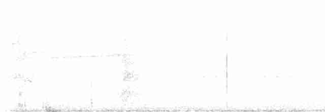 Ширококрылый канюк - ML619405661
