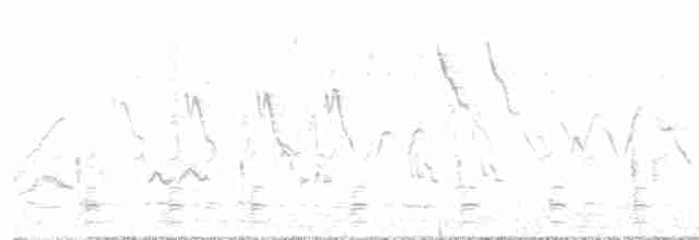 Ивовый мухолов - ML619406124