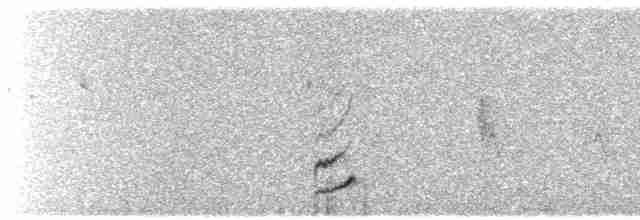 Phénopèple luisant - ML619406378