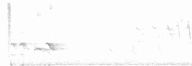 Büyük Mor Kırlangıç - ML619407202