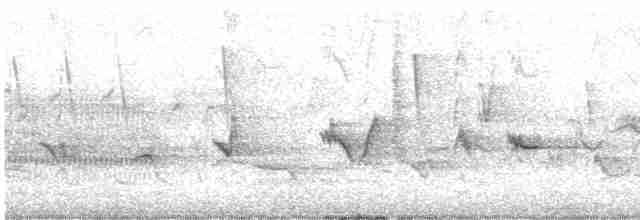 Oriole des vergers - ML619407232