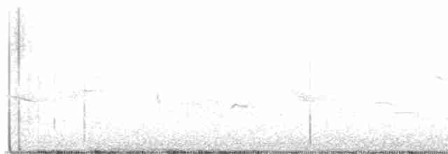 White-eyed Vireo - ML619407839