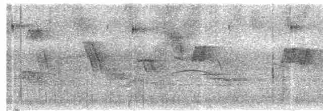 Мухолов-клинодзьоб сірий - ML619408216