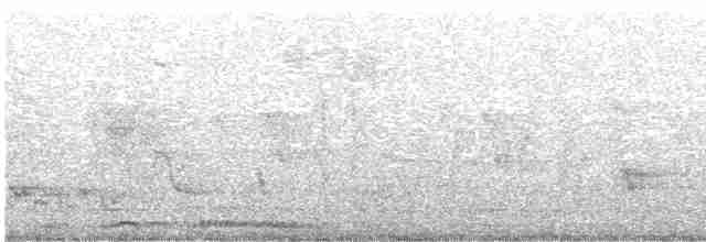 珠頸斑鳩 - ML619408613