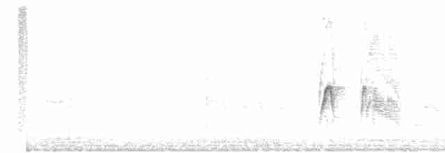 Ивовый мухолов - ML619408770