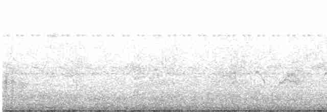White-crested Tyrannulet - ML619408805