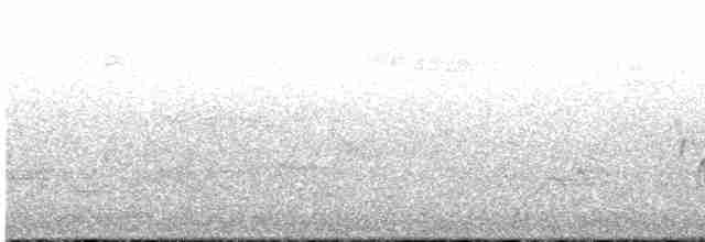 Karolina Çıtkuşu - ML619408882