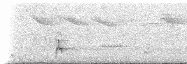 Ak Kanatlı Alev Karıncakuşu - ML619409584