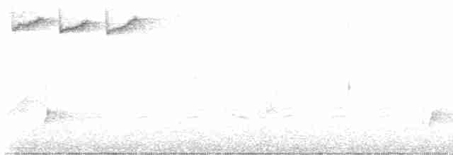 Дрізд-короткодзьоб Cвенсона - ML619410624